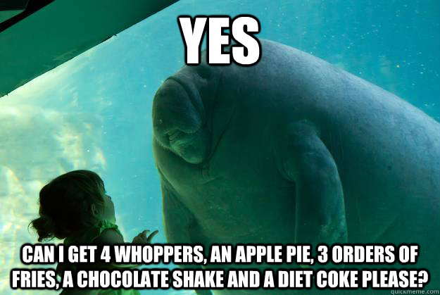 Yes  Can I get 4 whoppers, an apple pie, 3 orders of fries, a chocolate shake and a diet coke please?  Overlord Manatee