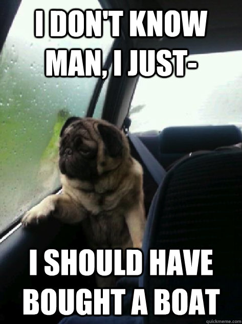 I don't know man, I just- I should have bought a boat  Introspective Pug