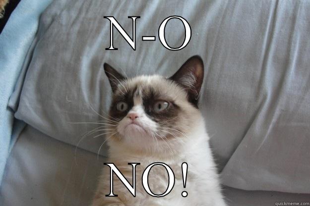 N-O NO! Grumpy Cat