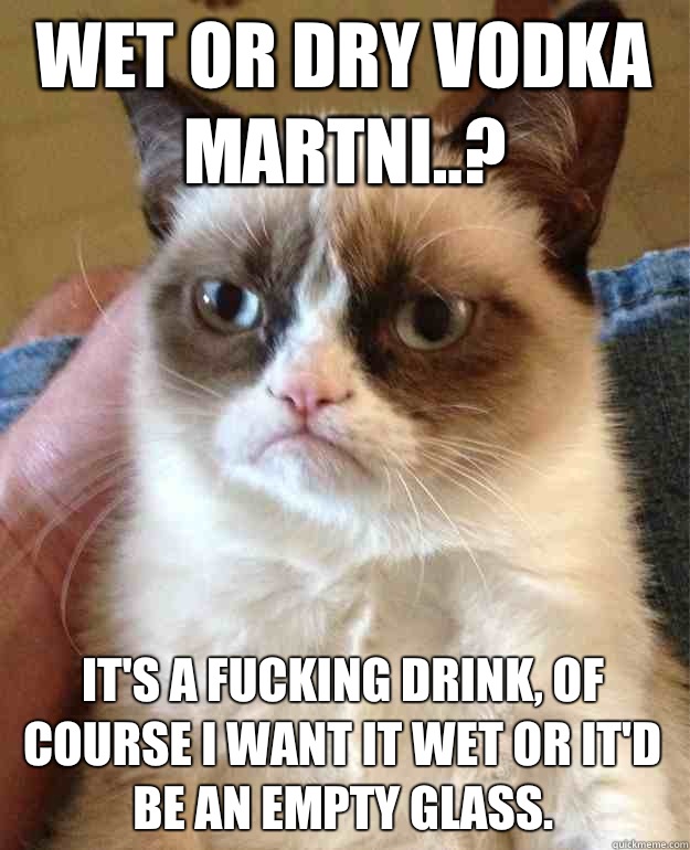 Wet or dry vodka martni..? It's a fucking drink, of course I want it wet or it'd be an empty glass.  Grumpy Cat