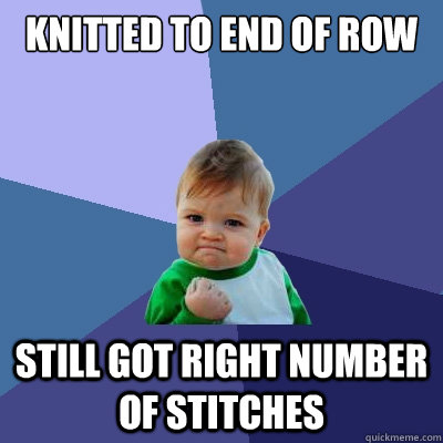 Knitted to end of row still got right number of stitches  Success Kid