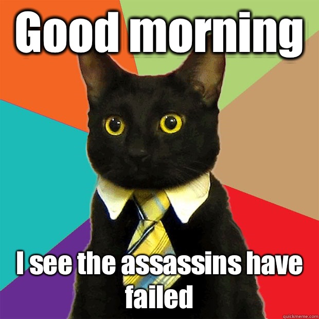 Good morning I see the assassins have failed  Business Cat