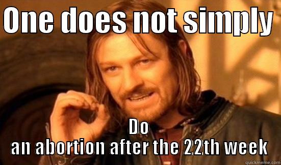 ONE DOES NOT SIMPLY  DO AN ABORTION AFTER THE 22TH WEEK Boromir