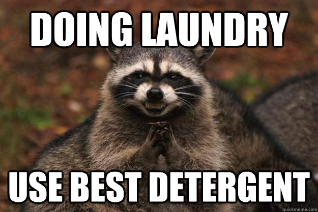 doing laundry use best detergent  - doing laundry use best detergent   Evil Plotting Raccoon