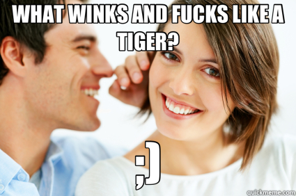 WHAT WINKS AND FUCKS LIKE A TIGER? ;)  Bad Pick-up line Paul