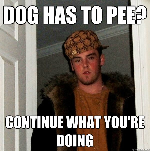 Dog has to pee? Continue what you're doing  Scumbag Steve