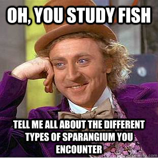 Oh, you study fish tell me all about the different types of sparangium you encounter - Oh, you study fish tell me all about the different types of sparangium you encounter  Condescending Wonka