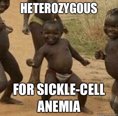 Heterozygous For sickle-cell anemia - Heterozygous For sickle-cell anemia  Third World Success Kid