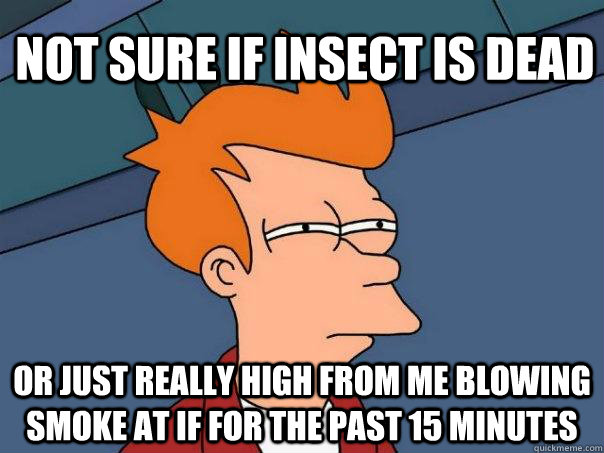 Not sure if insect is dead or just really high from me blowing smoke at if for the past 15 minutes  Futurama Fry