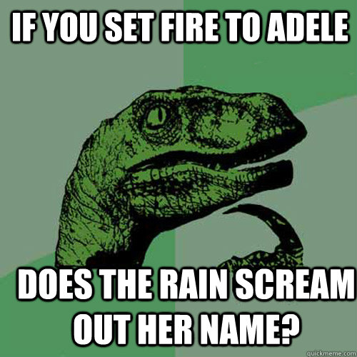 if you set fire to adele does the rain scream out her name? - if you set fire to adele does the rain scream out her name?  Philosoraptor