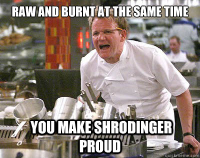 Raw and burnt at the same time  You make Shrodinger proud  Chef Ramsay