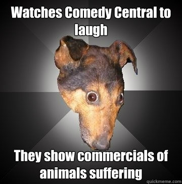 Watches Comedy Central to laugh They show commercials of animals suffering  