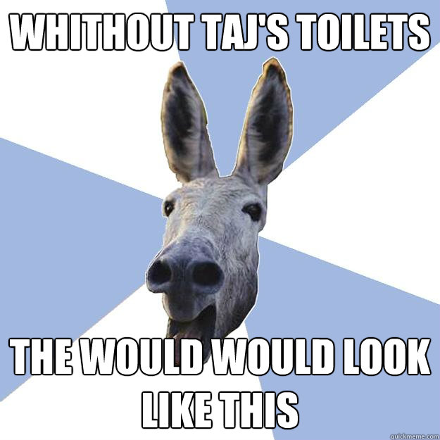 Whithout taj's toilets the would would look like this  Jackass Boyfriend