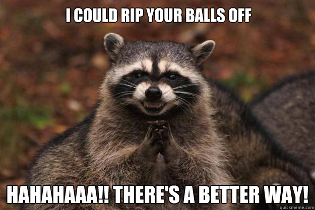 I could rip your balls off hahahaaa!! There's a better way! - I could rip your balls off hahahaaa!! There's a better way!  Evil Plotting Raccoon