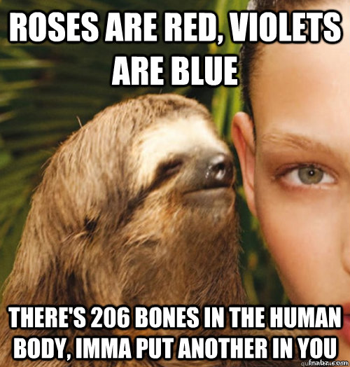 Roses are red, violets are blue There's 206 bones in the human body, Imma put another in you  rape sloth