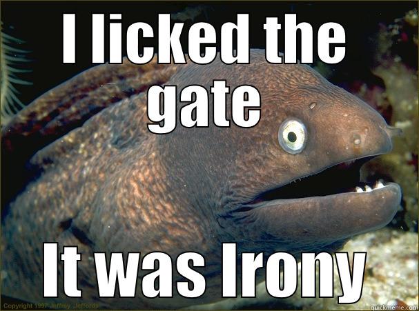 I LICKED THE GATE IT WAS IRONY Bad Joke Eel