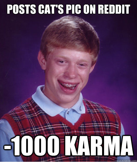 Posts cat's pic on reddit -1000 karma - Posts cat's pic on reddit -1000 karma  Bad Luck Brian