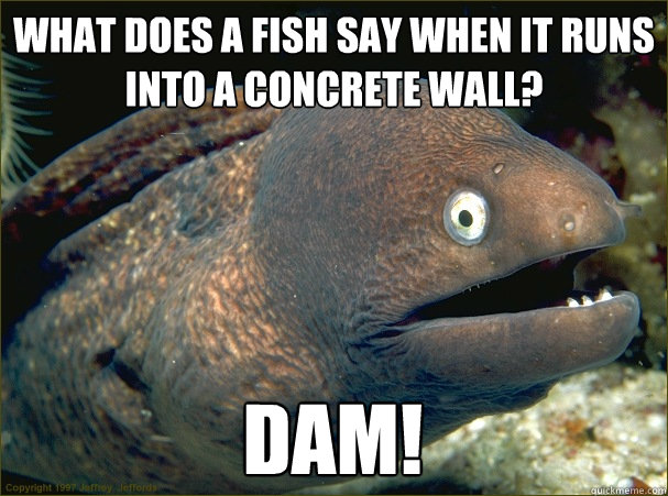 What does a fish say when it runs into a concrete wall? DAM!  Bad Joke Eel