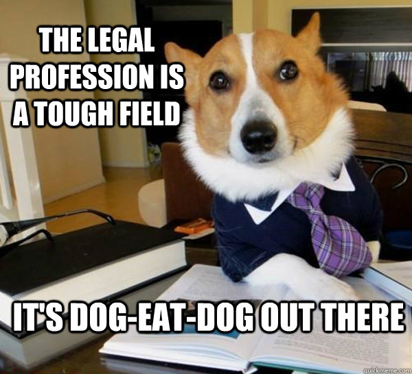 The legal profession is a tough field it's dog-eat-dog out there  Lawyer Dog