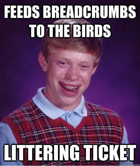 Feeds breadcrumbs to the birds Littering ticket  Bad Luck Brian