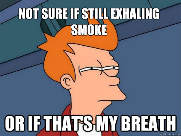 Not sure if still exhaling smoke Or if that's my breath - Not sure if still exhaling smoke Or if that's my breath  Futurama Fry