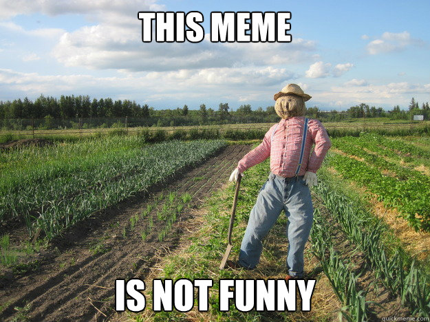 This MEME IS NOT FUNNY  Scarecrow