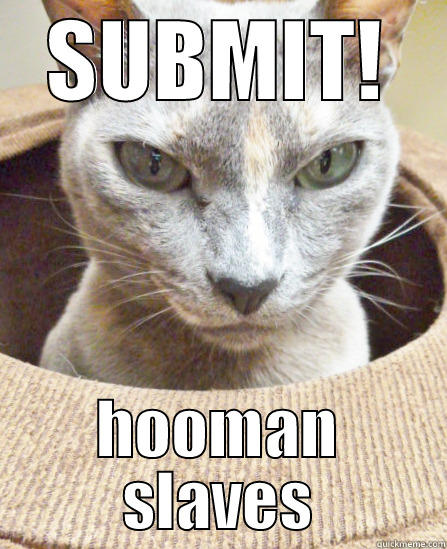 SUBMIT! HOOMAN SLAVES Misc