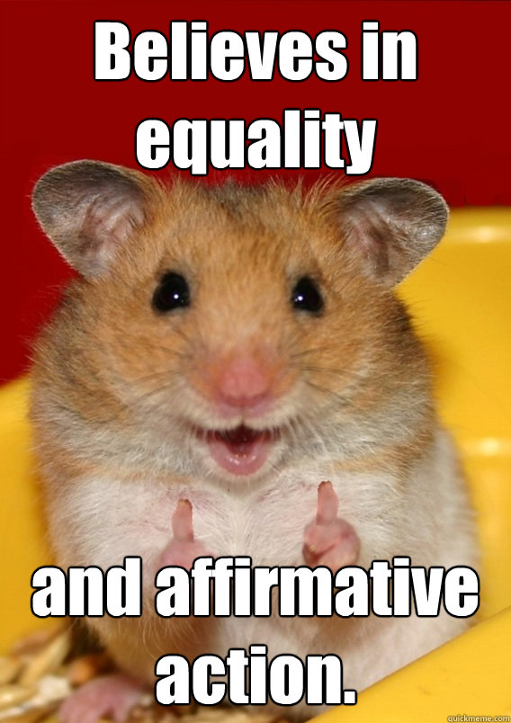 Believes in equality and affirmative action.  - Believes in equality and affirmative action.   Rationalization Hamster