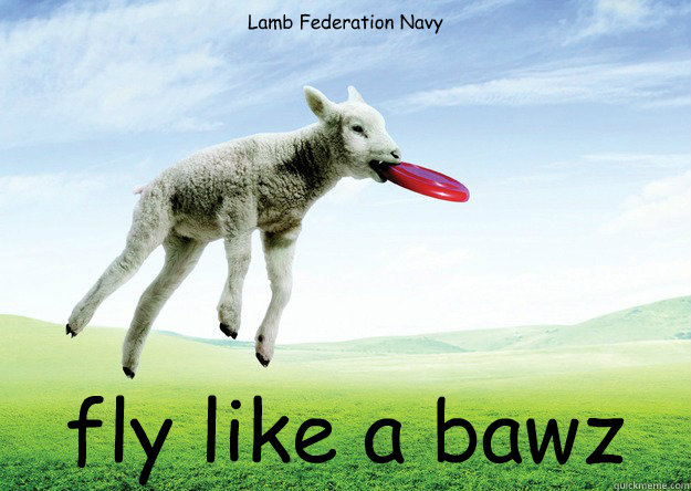 Lamb Federation Navy fly like a bawz  bawz