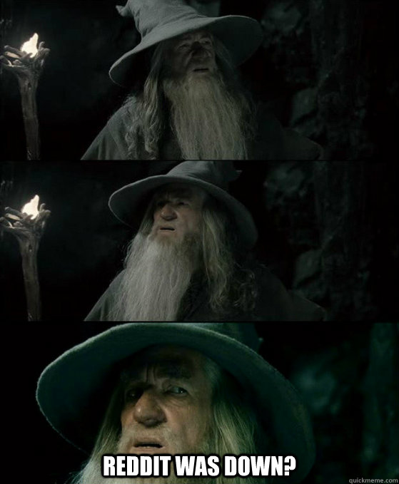  Reddit was down?  Confused Gandalf