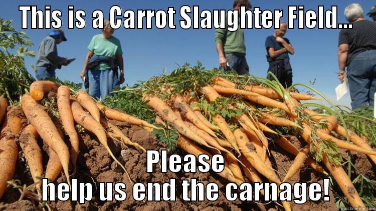 THIS IS A CARROT SLAUGHTER FIELD... PLEASE HELP US END THE CARNAGE! Misc