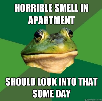 Horrible smell in apartment Should look into that some day - Horrible smell in apartment Should look into that some day  Foul Bachelor Frog