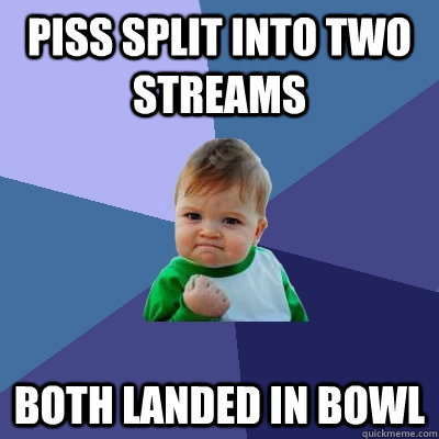 Piss split into two streams both landed in bowl  Success Kid