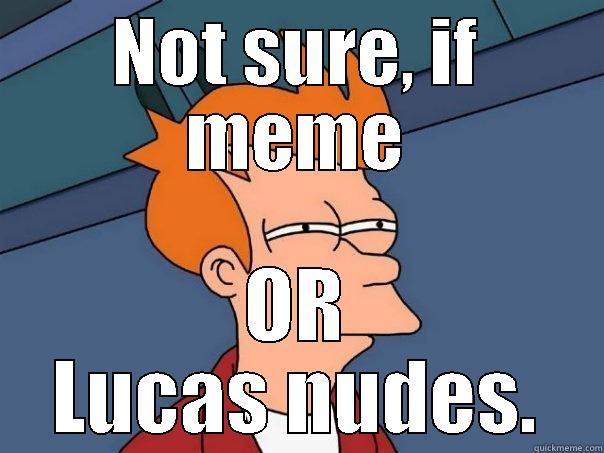 NOT SURE, IF MEME OR LUCAS NUDES. Futurama Fry