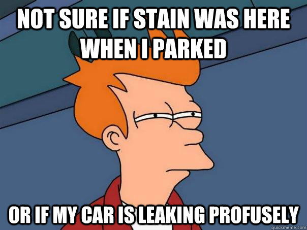 Not sure if stain was here when I parked Or if my car is leaking profusely  Futurama Fry