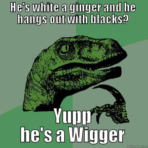 Wigger Ginger - HE'S WHITE A GINGER AND HE HANGS OUT WITH BLACKS? YUPP HE'S A WIGGER Philosoraptor