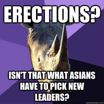 Erections? Isn't that what Asians have to pick new leaders?  Sexually Oblivious Rhino