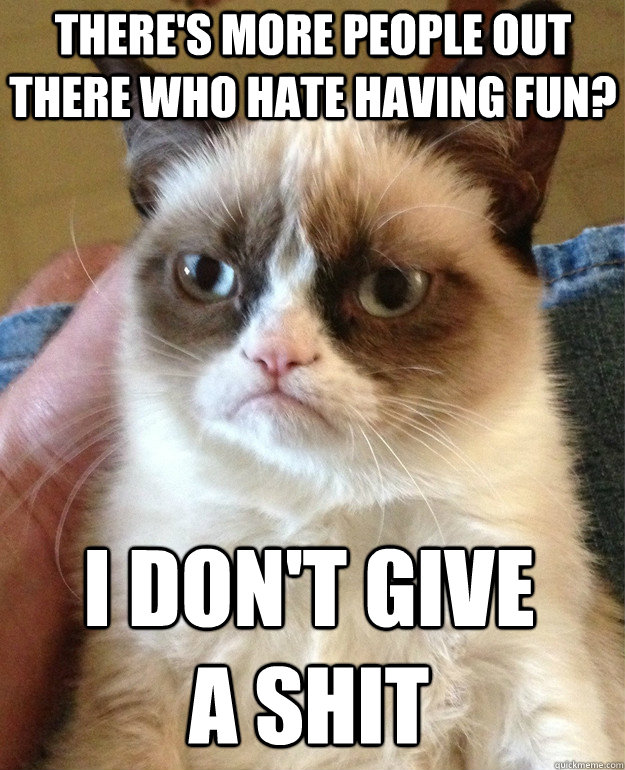 There's more people out there who hate having fun? I don't give a shit  Grumpy Cat