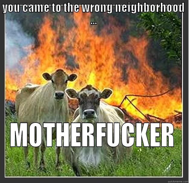 YOU CAME TO THE WRONG NEIGHBORHOOD ... MOTHERFUCKER Evil cows