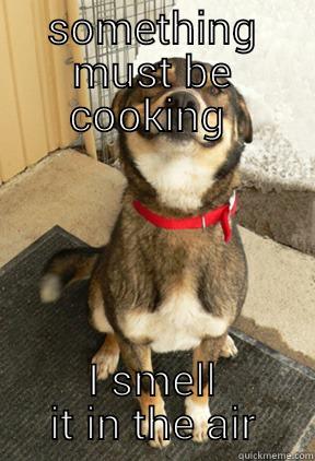 SOMETHING MUST BE COOKING  I SMELL IT IN THE AIR Good Dog Greg