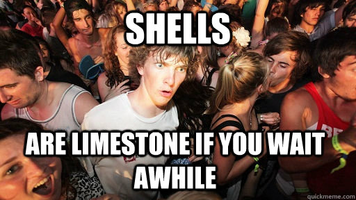 Shells are limestone if you wait awhile  Sudden Clarity Clarence