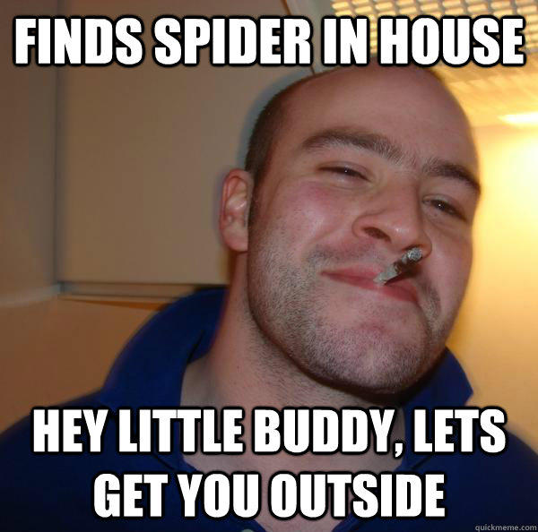 Finds spider in house Hey little buddy, lets get you outside  