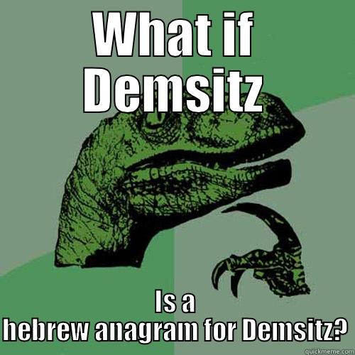 What if? - WHAT IF DEMSITZ IS A HEBREW ANAGRAM FOR DEMSITZ? Philosoraptor