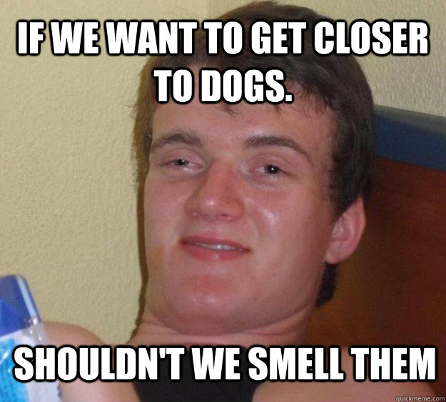 if we want to get closer to dogs. shouldn't we smell them  10 Guy