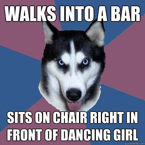 Walks into a bar Sits on chair right in front of dancing girl - Walks into a bar Sits on chair right in front of dancing girl  Creeper Canine