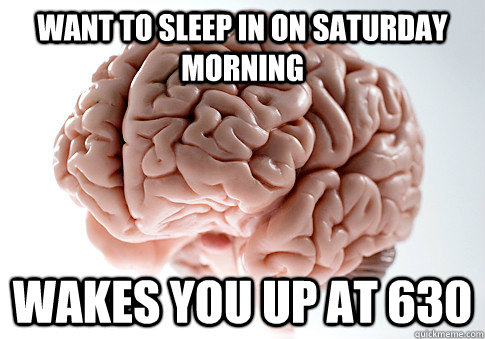 Want to sleep in on Saturday morning Wakes you up at 630  Scumbag Brain