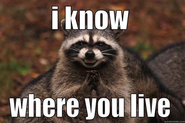 I KNOW WHERE YOU LIVE Evil Plotting Raccoon