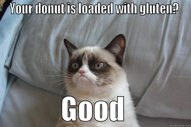 Gluten Donut - YOUR DONUT IS LOADED WITH GLUTEN? GOOD Grumpy Cat