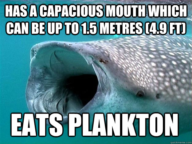 has a capacious mouth which can be up to 1.5 metres (4.9 ft)  Eats plankton  