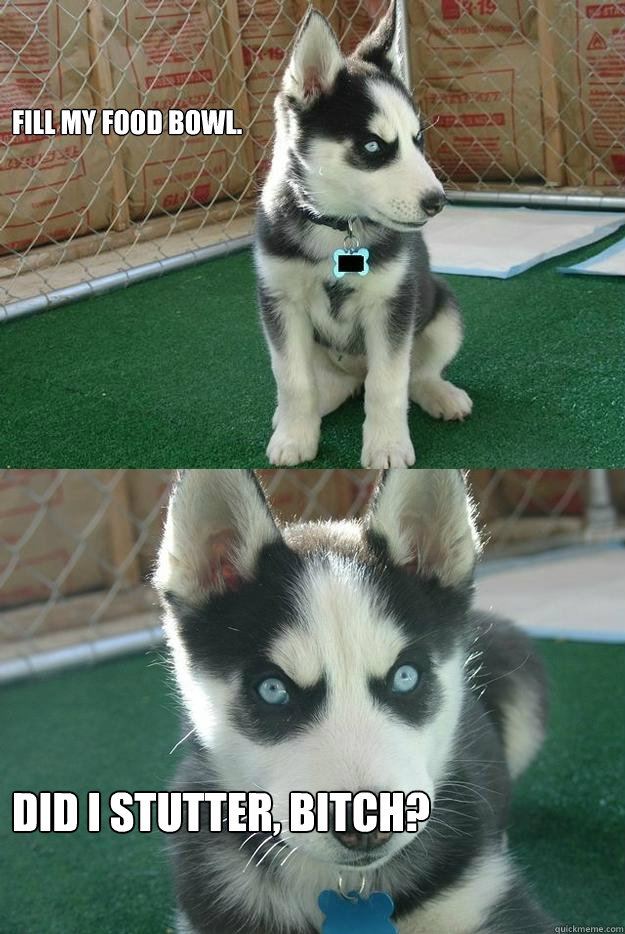 Fill my food bowl. Did I stutter, bitch?  Insanity puppy